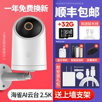 [Hot Sales Breaksion] Tynging AI Global Camera 2.5K+32G