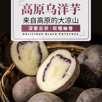 Butuo potato Daliangshan potato 5kg fresh colorful potato purple potato black potato yam egg