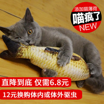 Cat toy cat cat toy fish Cat pillow grass carp pet simulation plush cat fish toy