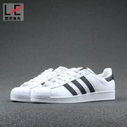 Rennes GC Adidas Superstar Gold Shell Shell Head Giày thường C77154 C77124 - Dép / giày thường