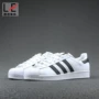 Rennes GC Adidas Superstar Gold Shell Shell Head Giày thường C77154 C77124 - Dép / giày thường giày thể thao nam 