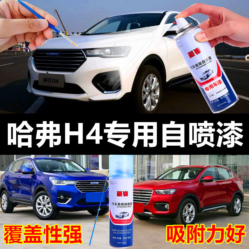 Haval H4 Carney Blue Car Self Painting Hamilton White