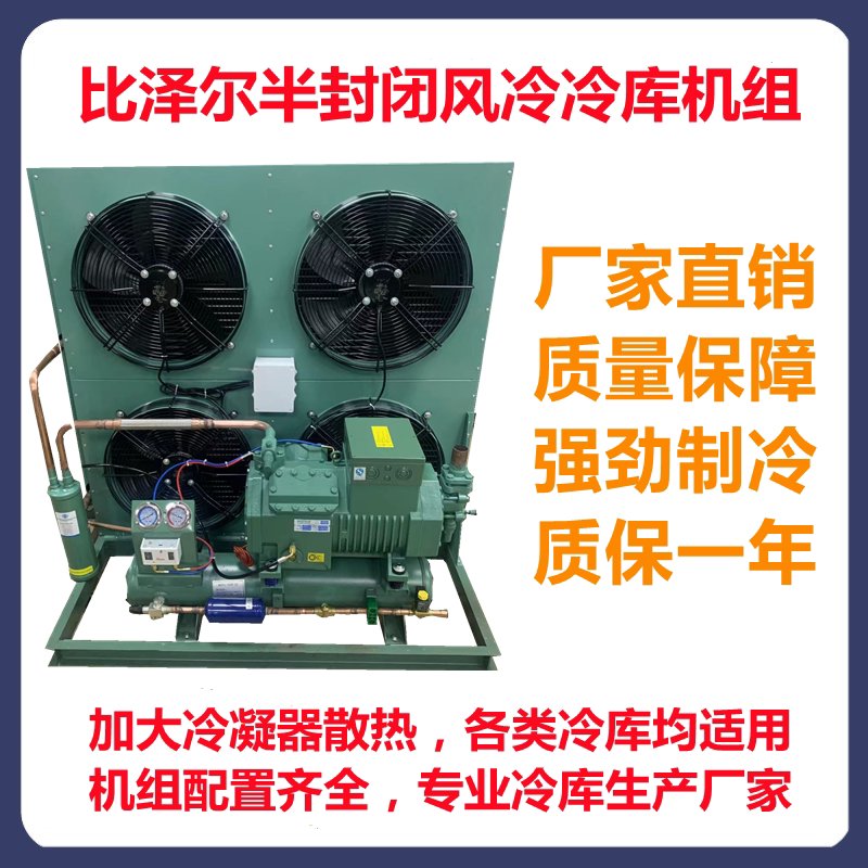 Bizer Semi-Closed Air-cooled Refrigerated Depot Refrigeration Compression Unit 3 4 5 8 10 15 15 25 25 30 Piece Full