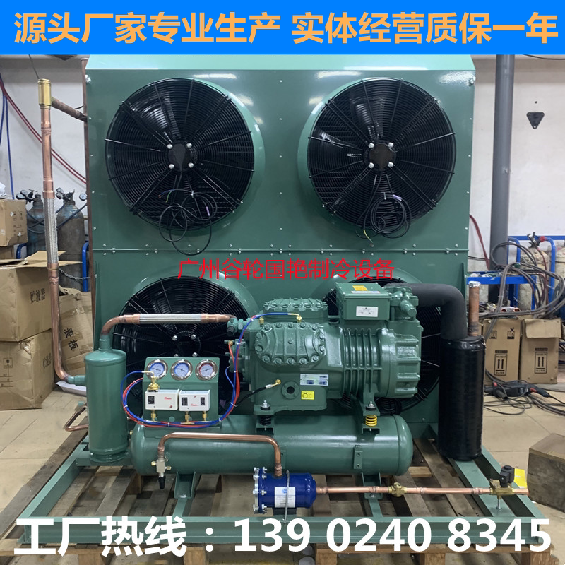 Bizer 30HP pidual-class air-cooled semi-closed cryogenic rapid freezing cold storage Refrigeration compressor set complete equipment