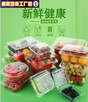 100 disposable strawberry platter plastic packaging box transparent fresh-keeping box fruit fishing vegetables and fruit packing