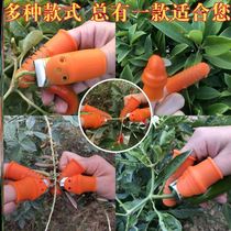 Fruit and vegetable picking Divine Instrumental Vegetable Pinching Grape Now Tool Picking Grass With Gold And Silver Pepper Gloves Fruits And Vegetables Picking Small Tools