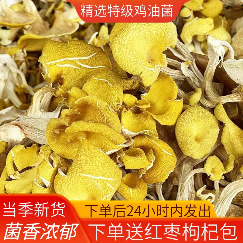 Seasonal mountain chanterelle dry goods 100g fresh mushroom nutrition wild mushroom super yellow silk fungus elm yellow mushroom