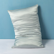Cnsilk 100% Mulberry Silk Real Silk Single-sided Pillowcase Day Silk Pillowcase Lesel Fiber Pillow Headgear Single
