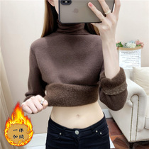 Turtleneck sweater one velvet shiny silk plus velvet slim base shirt 2021 new womens interior