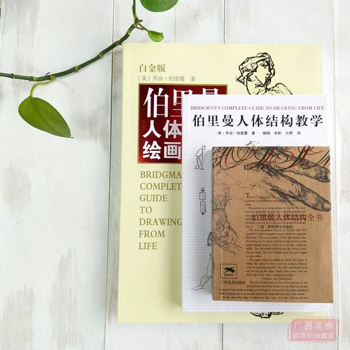 Человеческая структура Berryman.