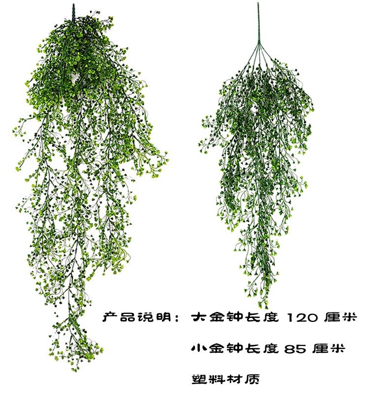 Mô phỏng chuông vàng treo trang trí cây nho trong nhà giả hoa mây phòng khách treo tường nhựa treo hoa lan xanh - Hoa nhân tạo / Cây / Trái cây