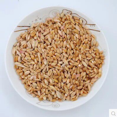 Chinese herbal medicine floating wheat shriveled wheat floating wheat floating wheat 500g