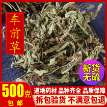 Chinese herbal medicine plantain 500g Plantain Hay 500 gr