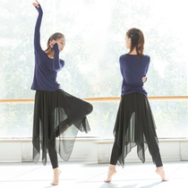 Dance suit female adult classical modern folk dance practice uniform body teacher gauze skirt pants elegant dance suit
