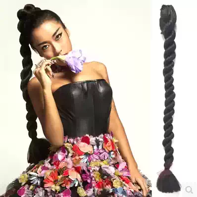 European and American retro punk female singer performance costume DS photography photo Jike Junyi wig braids long ponytail