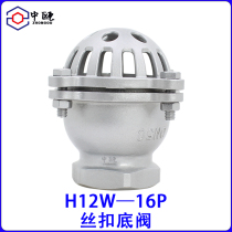 304 stainless steel threaded bottom valve water pump self-priming pump check valve shower head water absorption submarine well backflow valve