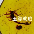 玉缘琥珀的LOGO