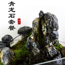 Waterways cylinder-made scenery decoration fine wash Qinglong stone aqua grass cylinder made of landscape stone rainforest cylinder amphibious natural bonsai stone