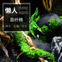 Ecological Cylinder Rainforest Plant Fiber Cotton Background Board Amphibious tank moss bricking fabric Scape Plate Moss Growing Cotton Moisturizing