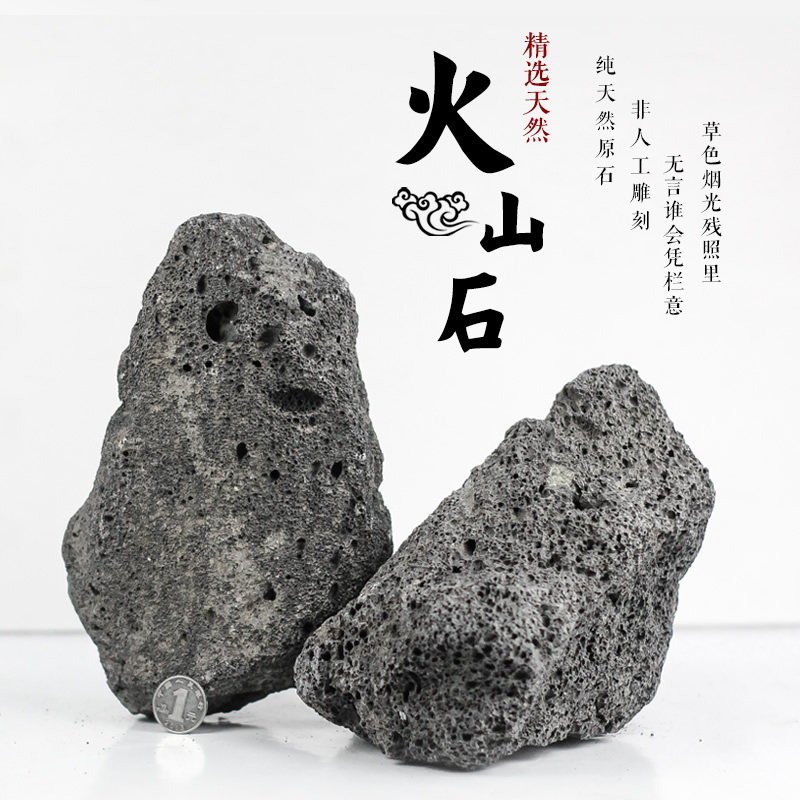 Natural View Fire Mountain Stone Amphibious Tank Fish Tank Decoration Material Basalt Grass Cylinder Package Eco-Cylinder Rainforest Fake Mountain