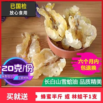 Snow clams oil forest frog oil Northeast Changbai Mountain Special production 20g Lin frogs conjoined oil Snow clam paste Snow clams dry whole only