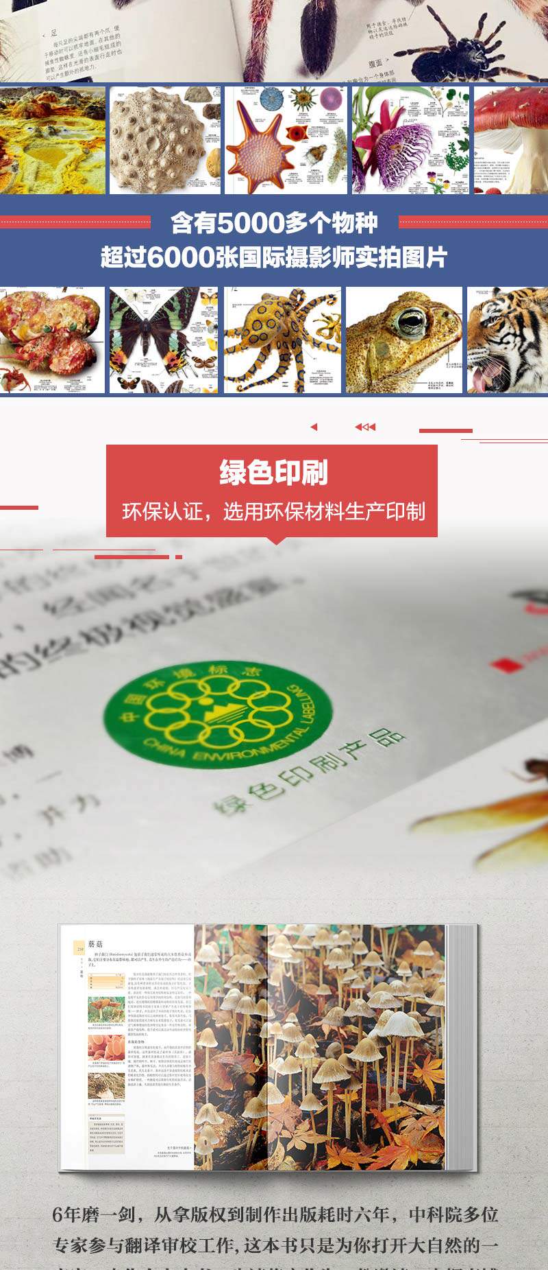 DK博物大百科 精装版 图3