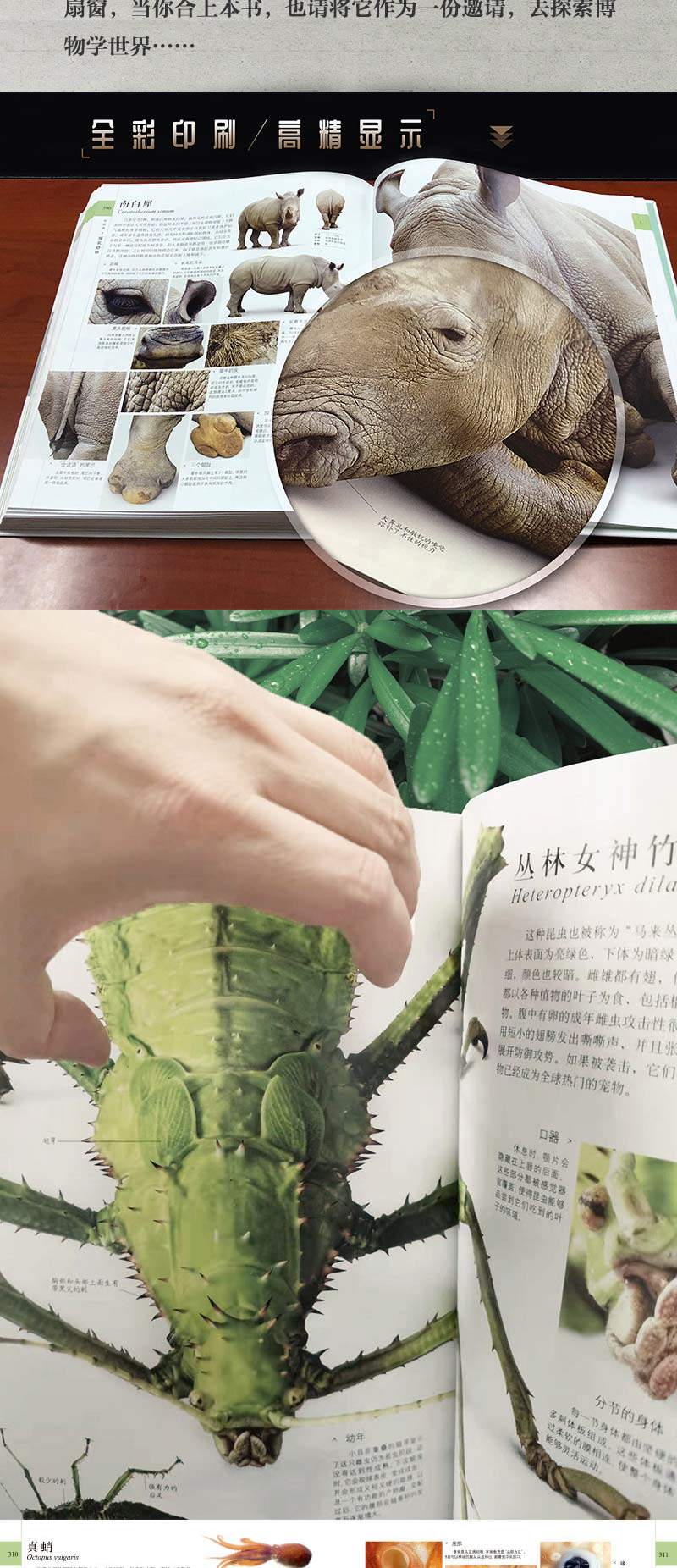 DK博物大百科 精装版 图4
