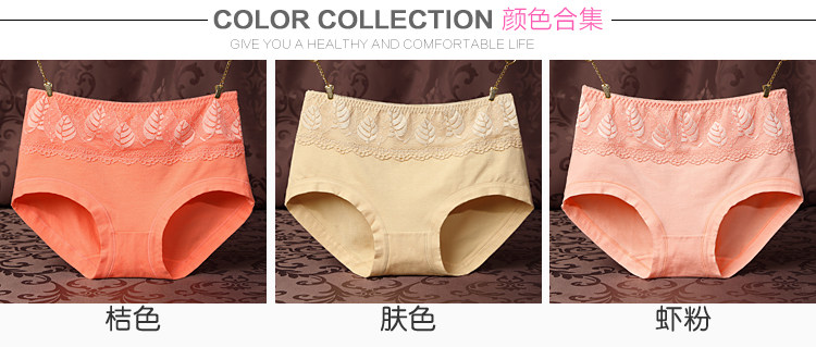 Slip jeunesse en coton - Ref 640315 Image 15