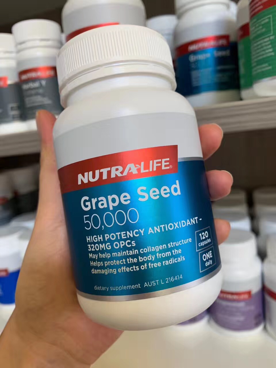 NutraLife Neulle grape seed essence of 50,000 mg whitening antioxidant 120 grains