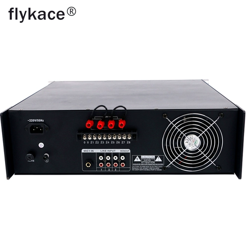 Flykace 1000 Вт с высоким содержанием силы с фиксированным напряжением