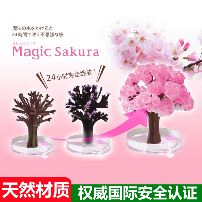 Japanese Cherry Blossom Tree Christmas Magic Crystal Tree Reminisces when I was a child and simply bloomed on paper scientific observation toys