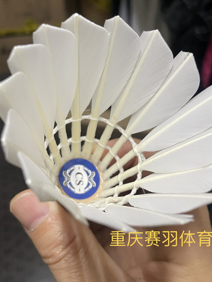 jianyu cr jianyu cs 히트 킹