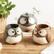 Japan imported owl Cup cute teapot Japanese and style household clay water Cup mug mug beauty