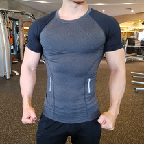 Tights mens short-sleeved summer fitness suit Quick-drying sports top Breathable sweat-absorbing high elastic running basketball training suit