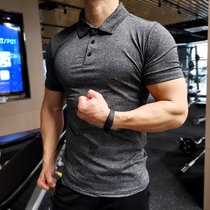 Fitness suit mens summer quick-drying breathable stretch tights Running training T-shirt Sports lapel short sleeve POLO shirt