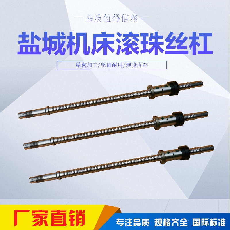 Yancheng Cnc Machine Tool Ball Screw Fl2004*514/640, Fl4006*1470/1720/2000