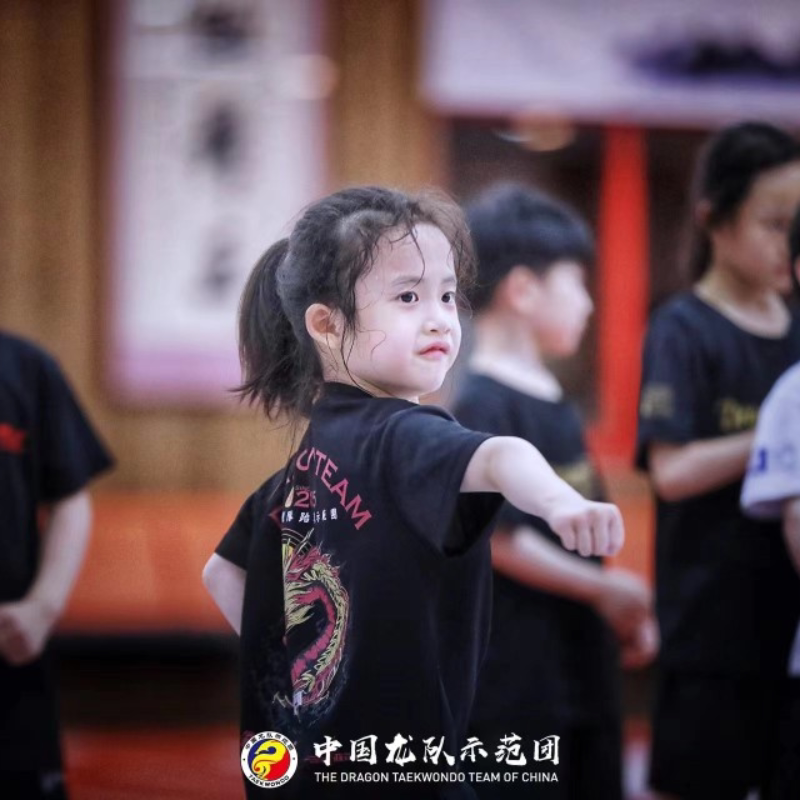 Chinese Dragon Team Taekwondo Demonstration Team 2015 Commemorative Edition Training Short Sleeve Dragon Fist Boy Black Quick-Drying