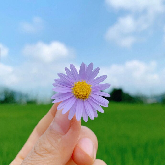登陶店铺