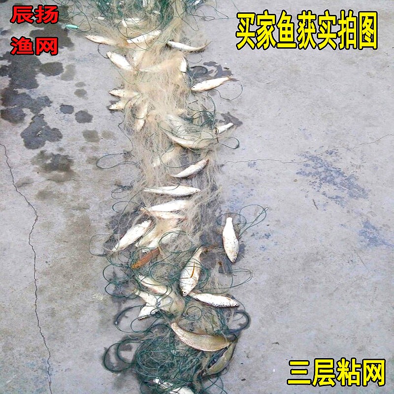 Sticky Nets Nets Nets 1 5 m 2 m 3 m 4 m 5 m 5 m Import Screen Sticky Mesh Three-layer Floating Nets Catch Fish Nets