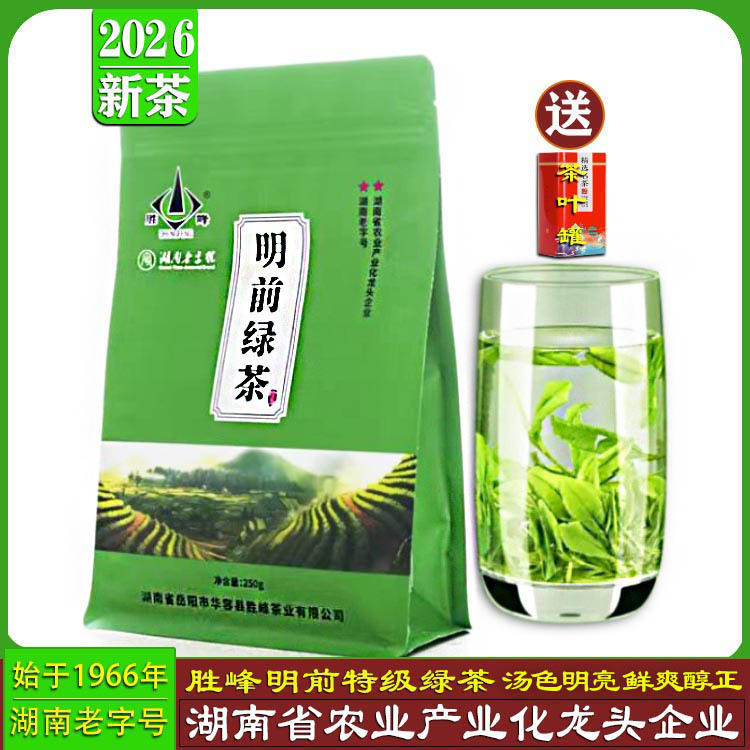 Shengfeng Mingqian Premium Green Tea 2026 New Tea Spring Tea High Mountain Cloud Mist Tea Chestnut Fragrance 2-Pack Yueyang Specialty
