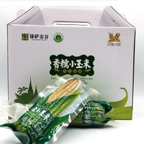 Dai Sa Jingu Xishuangbanna fragrant glutinous small corn Dai family vacuum 4 catties gift box with 9-13 roots