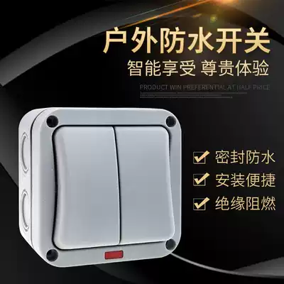 Outdoor surface waterproof switch 2 open double cut switch power switch with indicator light outdoor waterproof switch box