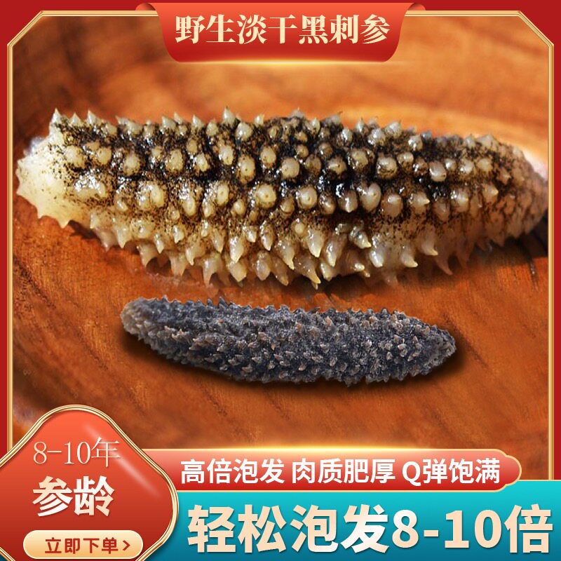 野生印尼黑刺参6-8年：顶级海参干货，500g淡干海参，非辽参的奢华享受！-干品-淘宝百科网