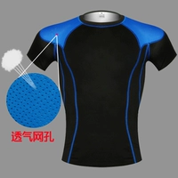 Новая синяя линия с коротким рукавом