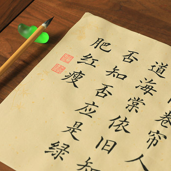 Thickened Medium-Sized Calligraphy Copybook for Beginners in the European Style, Suitable for Adults and Children, with Practice Paper for Beginners, Calligraphy Practice Set for Children, Calligraphy Paper for Practicing Calligraphy, Ouyang Xun Style