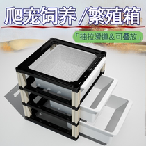 CM climbing cabinet gecko breeding cabinet toy snake breeding box reptile breeding incubator gecko lizard breeding box
