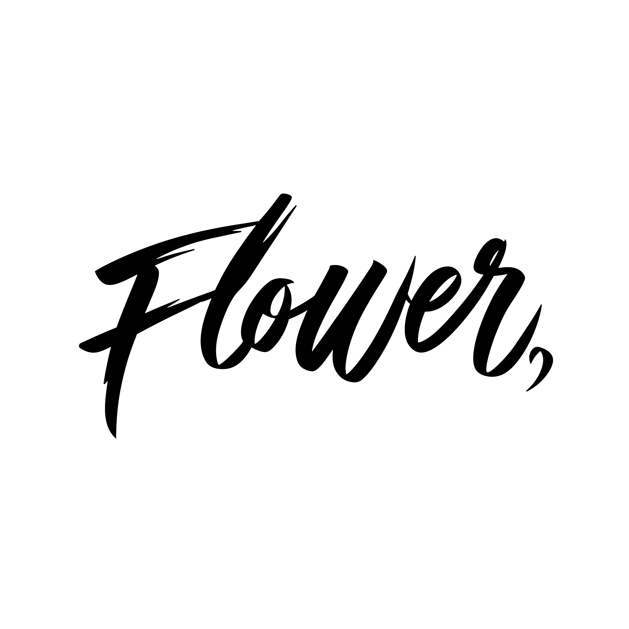 花影Flower Shadow