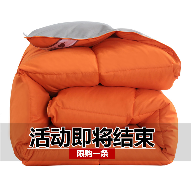 Special down quilt 95 white goose down cotton spring and autumn quilt thickened warm winter quilt student dormitory single double quilt core