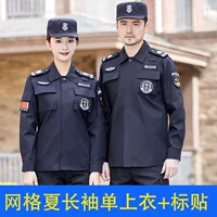 Сетка лето -логотип