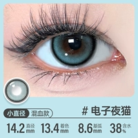 14.2 Электронная ночная кошка